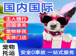 连云港花果山航空运输国际宠物托运 【国
